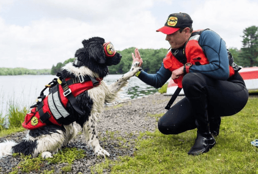Search and Rescue Training Seminars