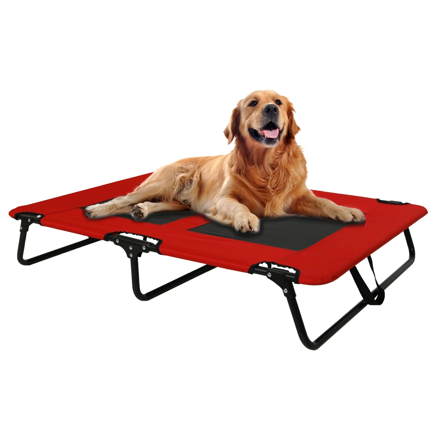 Raised Place Table for Dogs